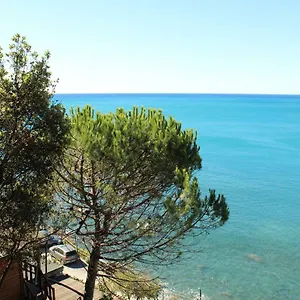 Il Rospo Camping